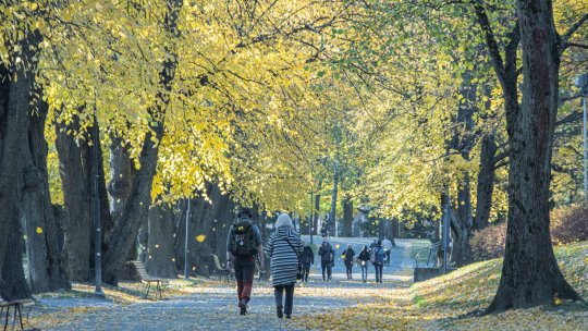 INS: Sporul natural al populaţiei României s-a menţinut negativ şi în septembrie