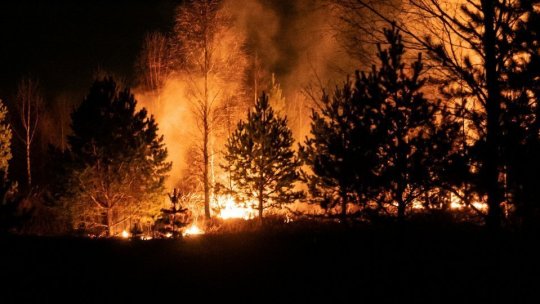 IRAN: Incendiu major în păduri din patrimoniul UNESCO. Teheran a cerut ajutor extern de urgență