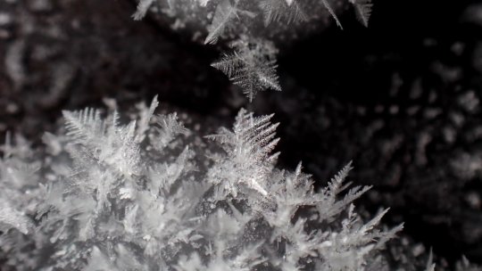 Meteorologii prognozează temperaturi sub norma perioadei și precipitații abundente până la finalul lunii ianuarie