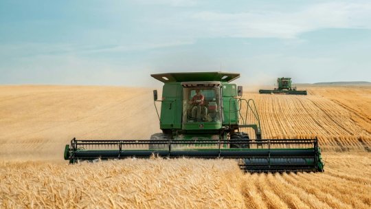 INS: Resursele totale de cereale şi produse din cereale au fost mai mici cu 6,384 milioane de tone, în 2024