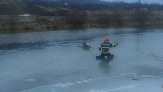 HUNEDOARA: Misiune de salvare a unui cățel din apele înghețate, la Lupeni