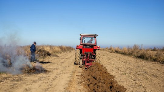 România însumează 23% din forța de muncă în agricultură din UE. Aproape o jumătate dintre fermieri au peste 65 de ani