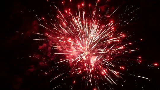 Folosirea petardelor şi artificiilor de Anul Nou, interzisă în Țările de Jos