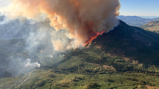 Incendiile de vegetație fac ravagii în sudul Europei, în timp ce temperaturile depășesc 40°C