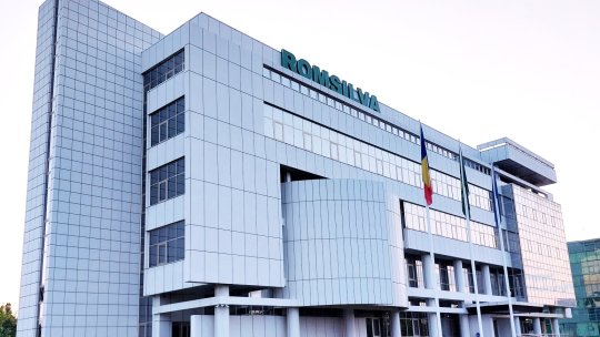 Ministerul Mediului: Dezbatere publică, luni, pentru alegerea șefului interimar de la Romsilva