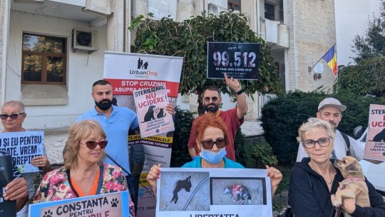 Protest în fața Primăriei Constanța față de modul în care este gestionată situația câinilor fără stăpân