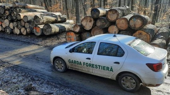 Ministrul Mediului: Numărul controalelor Gărzii Forestiere a crescut cu aproximativ 10%