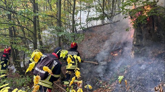 CARAȘ-SEVERIN: Peste 2.100 de hectare din Parcul Natural Domogled-Valea Cernei, afectate de incendii