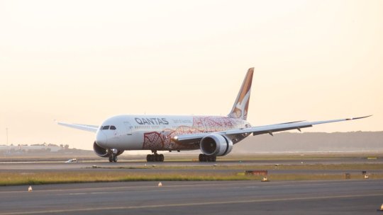 Zbor al companiei australiene Qantas anulat din cauza ploșnițelor