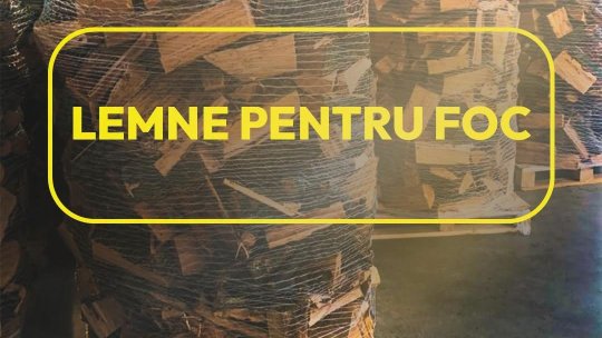 Lemn de foc pentru iarnă: Romsilva vinde 2 milioane de metri cubi, la prețuri similare cu cele de anul trecut
