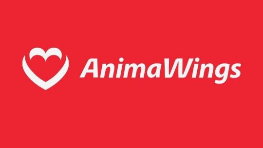 AnimaWings prelungește suspendarea tuturor zborurilor până pe 15 noiembrie