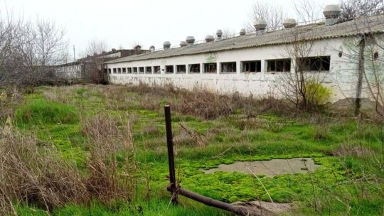IALOMIȚA: Fermă de creștere a puilor fără autorizaţie de mediu, amendată cu 150.000 de lei