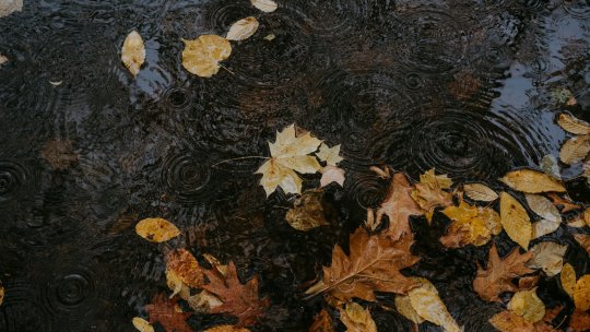 Prognoza meteo pentru perioada 19 octombrie - 1 noiembrie. Vreme schimbătoare de la o zi la alta și ploi după 21 octombrie