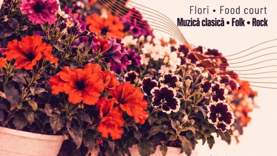 Festivalul Florilor de Toamnă, la Curtici