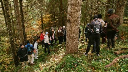 HARGHITA: Proiect Erasmus+ pentru plantarea a o mie de puieţi de molid la Lacu Roşu