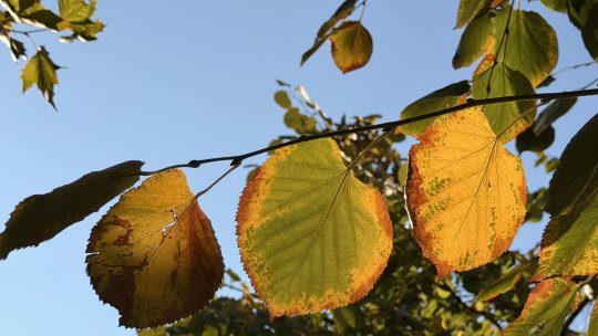 Vreme mai caldă decât norma perioadei, în următoarele săptămâni