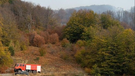 CARAȘ-SEVERIN: Incendiile de vegetație, reaprinse în Parcul Național Domogled-Valea Cernei