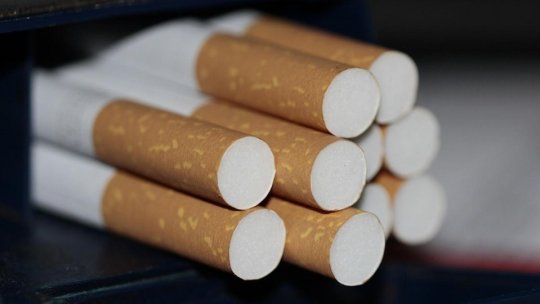 Contrabandă cu tutun: Aproape 70 de milioane de țigarete, confiscate de la începutul anului