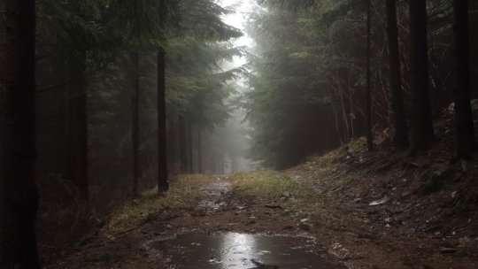 5 județe din sud și sud-est, sub cod galben de precipitații începând de marți