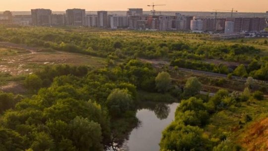 BUCUREȘTI: Valea Saulei, a treia arie naturală protejată a Capitalei