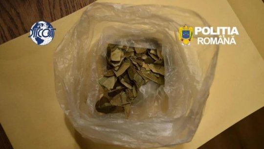 HUNEDOARA: Droguri de mare risc, descoperite într-o tabără de „explorare a conștiinței”