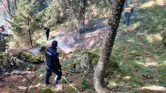 Incendiul din Retezat: Pompierii, sprijiniţi de alpinişti pentru a ajunge cu apă la focar
