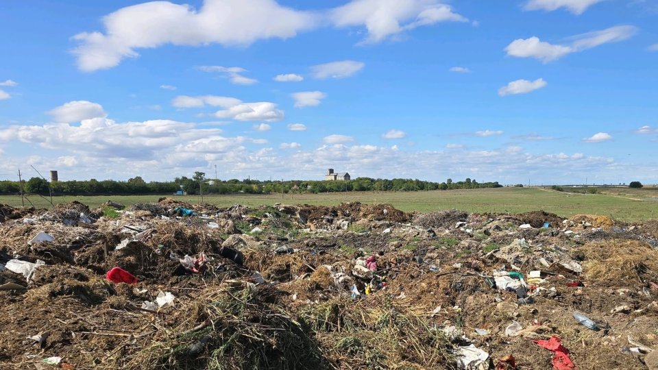 De la începutul anului, Garda Naţională de Mediu a dat amenzi de peste 170 de milioane de lei