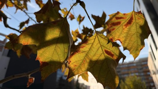 ANM: Temperaturi peste normalul perioadei, până la începutul lunii noiembrie