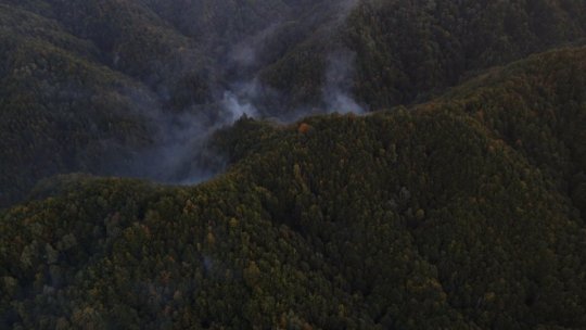 Peste 140 de salvatori au participat la misiune de stingere a incendiilor din Parcul Naţional Domogled