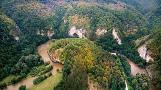 BIHOR: Certificarea Pădurii Craiului ca destinaţie de ecoturism, după 10 ani de dezvoltare
