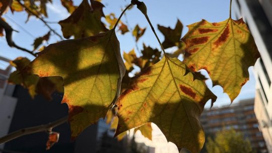 ANM: Temperaturi apropiate de norma perioadei calendaristice, toată luna octombrie