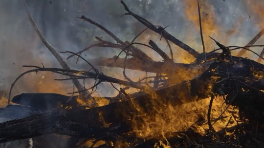 VÂLCEA: Incendiu de vegetație forestieră, în apropierea Mănăstirii Boia