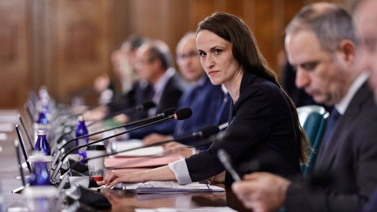 Oana Țoiu, după ce o dronă a fost doborâtă în Buzău: Securitatea consolidată este calea către pace la graniţa României