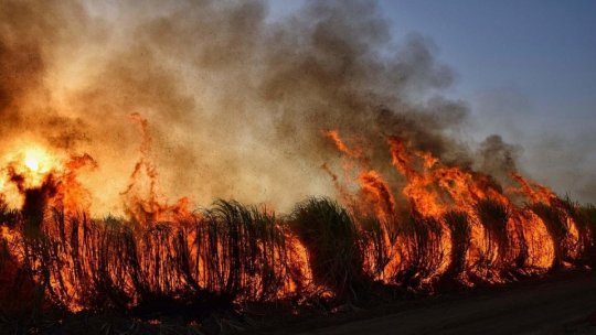 Spania: Patru avioane, trimise de UE pentru stingerea incendiilor