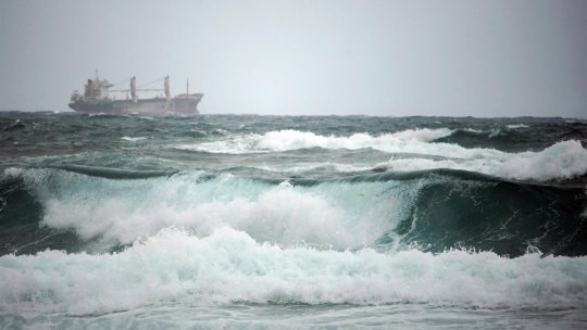 Reuters: Peste 97% din capacitatea de export de cereale a Rusiei şi Ucrainei în Marea Azov şi Marea Neagră a fost închisă