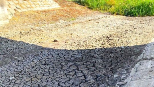 Criză de apă în mai multe localităţi din judeţul Neamț: Prefectura cere intervenţii urgente