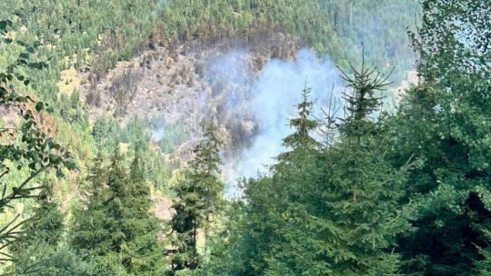 CLUJ: Incendiu de vegetaţie uscată şi pădure, în zona Crucea Iancului
