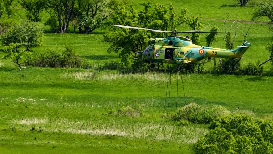 MApN: Drona care a intrat luni dimineață în România s-a oprit într-un copac, la cinci metri de o casă