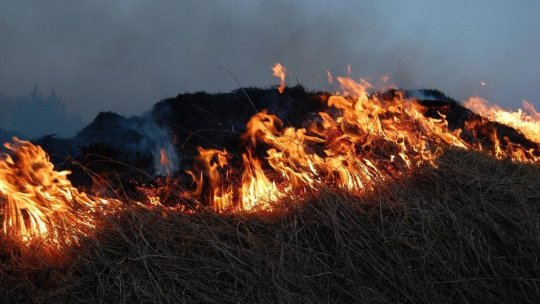MUREȘ: Incendiu de vegetație stins pe ultima sută de metri, înainte să se propage la o fermă şi la mai multe locuinţe
