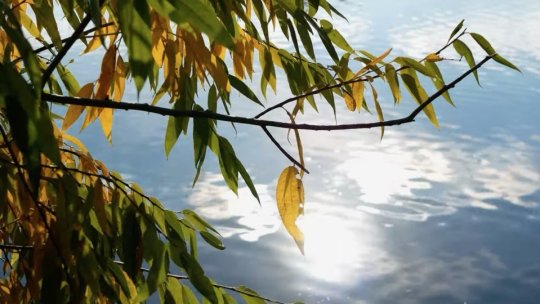 ANM: Temperaturi de până la 29 de grade, în următoarele două săptămâni