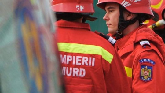 IAȘI: Recipient cu dioxid de sulf, descoperit în curtea unei școli, lângă două pisici moarte