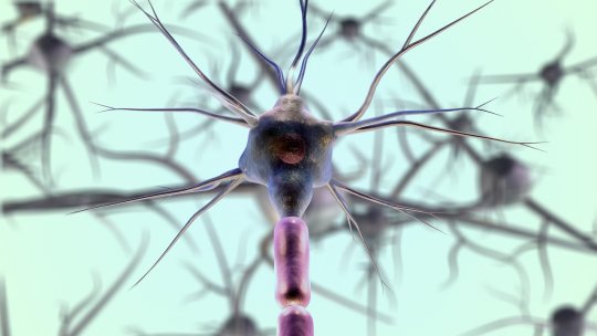 INSP: Peste 12.000 de noi cazuri de Alzheimer raportate, în 2025, în România