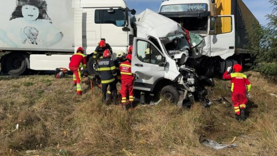 Accident rutier grav pe DN 6, la Vălișoara: Două femei și 8 câini au murit