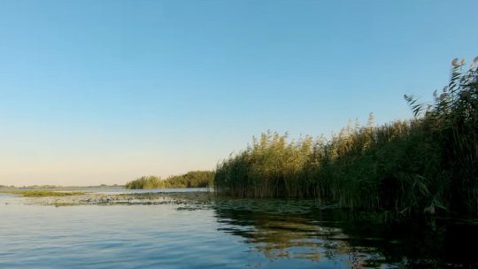 La intrarea în România, Dunărea are un debit sub jumătate din media lunii septembrie