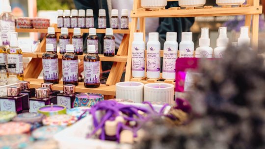 O nouă ediție Lavanda Fest, în Parcul IOR din Capitală
