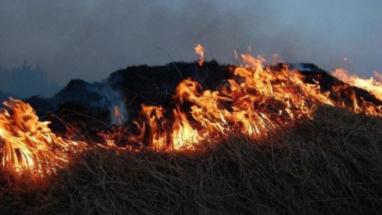 VÂLCEA: Aproape 10 hectare de vegetație uscată, cuprinse de un incendiu, la Băile Olănești