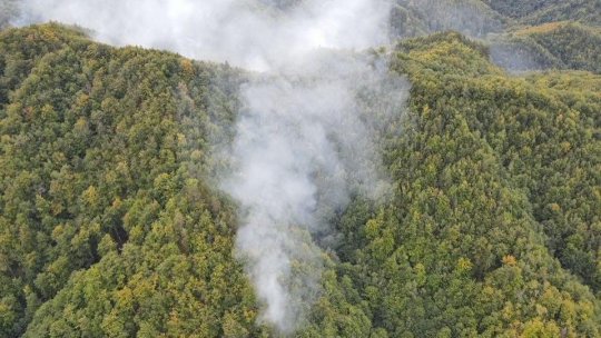 VÂLCEA: Pompierii se luptă, de câteva zile, cu un incendiu forestier la Băile Olănești