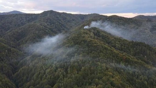 Incendiu pe aproximativ 400 de hectare în Parcul Național Domogled: Două elicoptere vor sprijini intervenția pompierilor de la sol