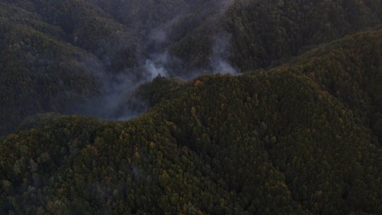 Incendii de pădure la Domogled și Băile Olănești: Intervențiile pompierilor sunt îngreunate de secetă și de terenul accidentat