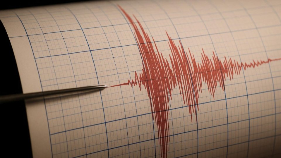 Module Vrancea Cutremur de 3,9 grade, în județul Vrancea | Actualitate | Radio România